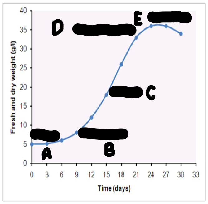 S-Shaped Curve. Identify the phases of A, B, C, D, E