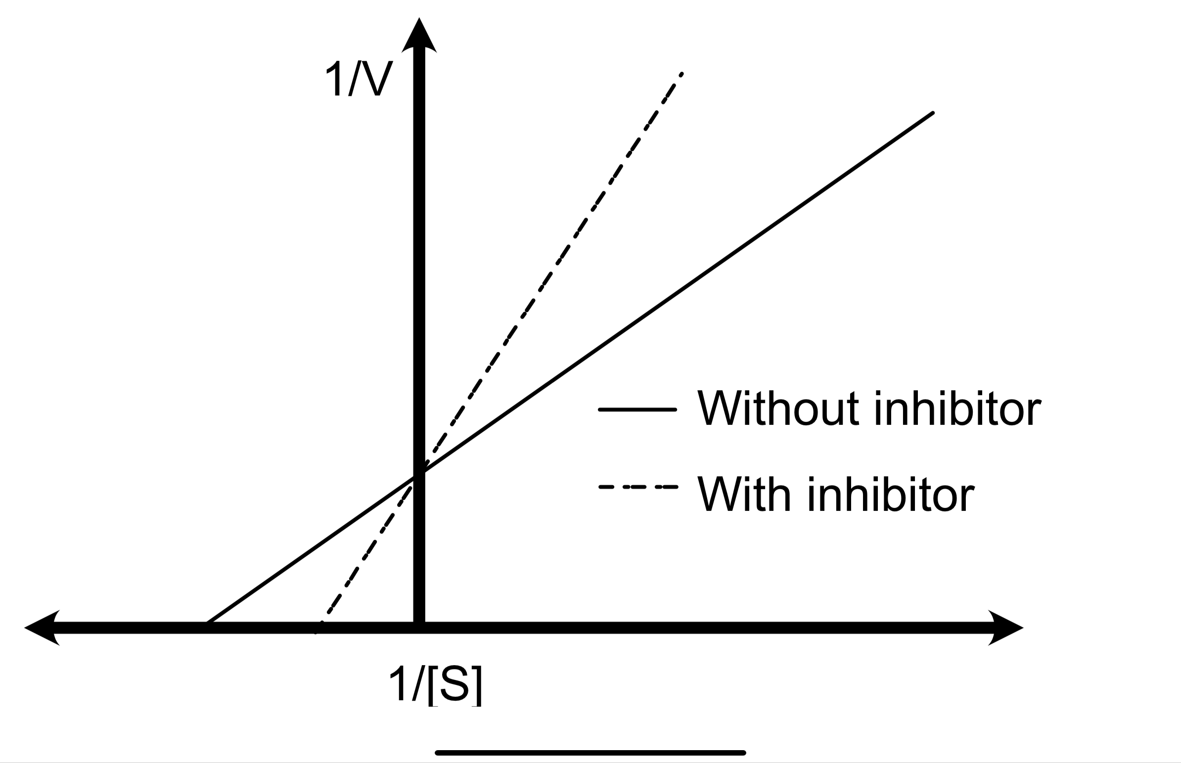 The graph shows Lineweaver-Burk plots for an enzyme catalyzed reaction in the presence and absence of an inhibitor. Which statement is CORRECT regarding the inhabitation shown?

* Competitive inhibition because Vmax is unchanged 
* Competitive inhibition because Km is unchanged 
* Non-competitive inhibition because Vmax is unchanged 
* Non-competitive inhibition because Km is unchanged 
