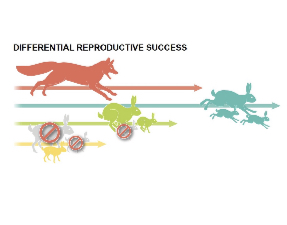 <p>Describe what will happen in this figure.</p>