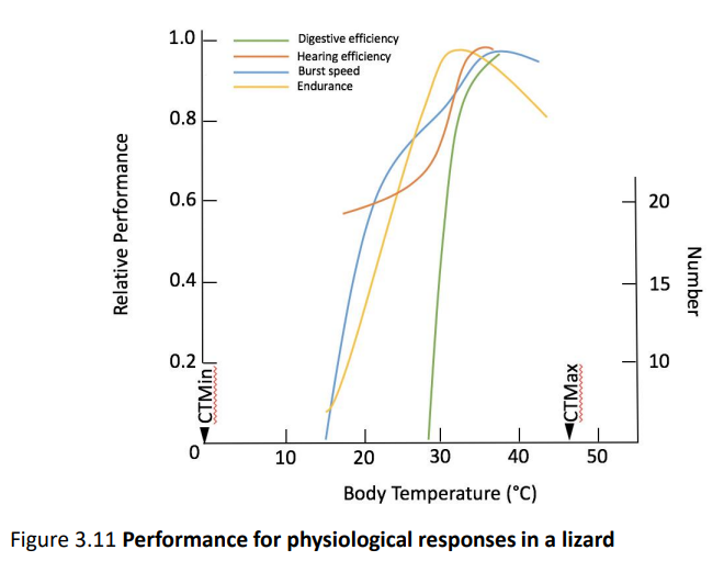 <p>Describe how different specific physiological functions within the same organism are affected by temperature</p><p></p><p>Describe how it is that transient heat waves are tolerable:</p>