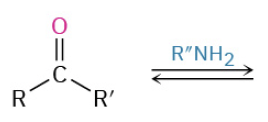 <p>k19 nukleofil addition til aldehyd og keton</p>