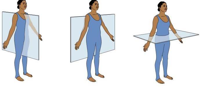 <p>What is the <strong>Frontal (or coronal) plane</strong>?</p>