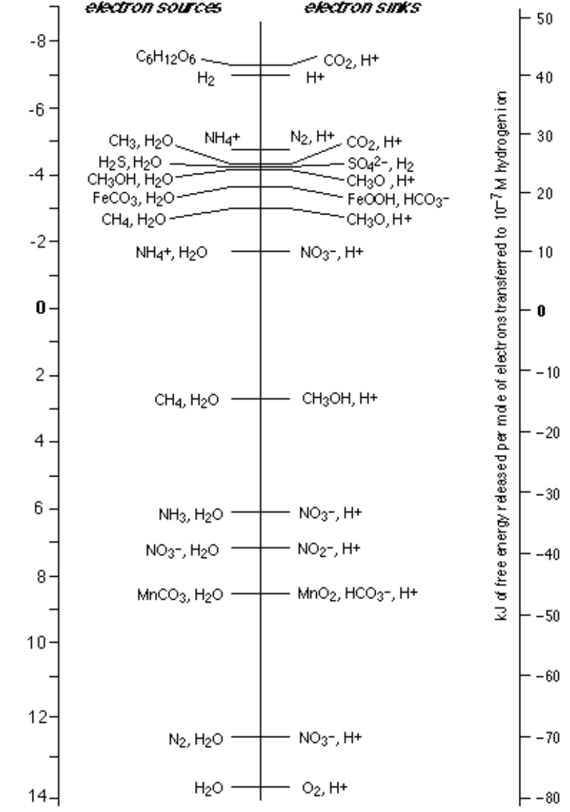 <p>a process in which electrons from nominally glucose, fall to lower-free energy acceptors on the right</p>