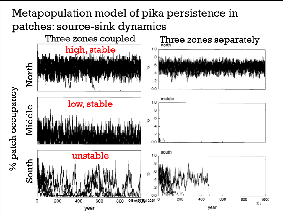 <p>Explain the example of pikas being a metapopulation</p>