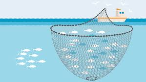 <p><span>a type of fishing net used to encircle and capture large schools of fish, particularly in the open ocean</span></p>