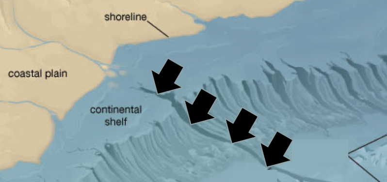 What is this feature?