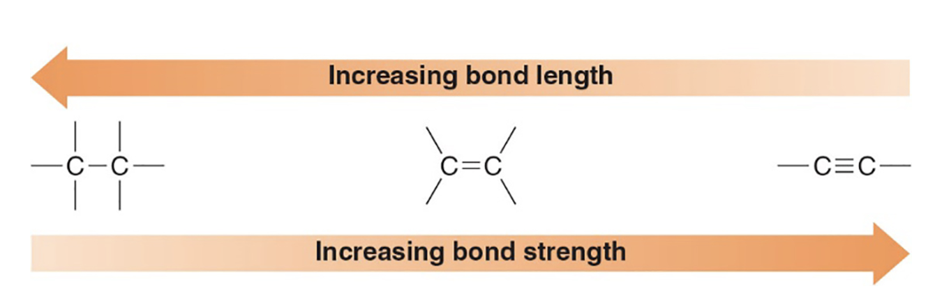 <p>Triple bonds are shortest and strongest, followed by double bonds, then single bonds.</p>