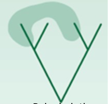 An artificially created taxon (supraspecific category) whose members, although similar, cannot be traced back to a common ancestor, but have evolved from different ancestral forms through convergent or parallel evolution.