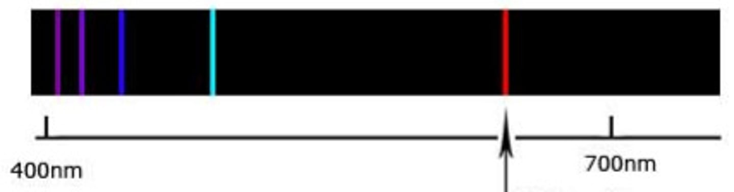<p>all black with rainbow lines</p>