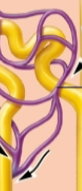<p>what is this?</p>