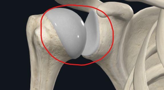 <p>What joint is this called?</p>