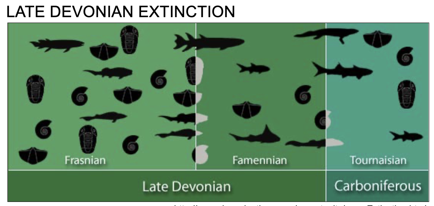<p><span><span>372 million years ago (Frasnian through Famennian)</span></span></p>