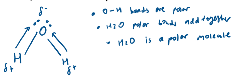 <p class="">Contains polar bonds which are asymmetric meaning the dipoles do not cancel out<br>(e.g. H2O and CH3Cl) <br>Results in an overall dipole moment so experience permanent dipole-dipole interactions</p>