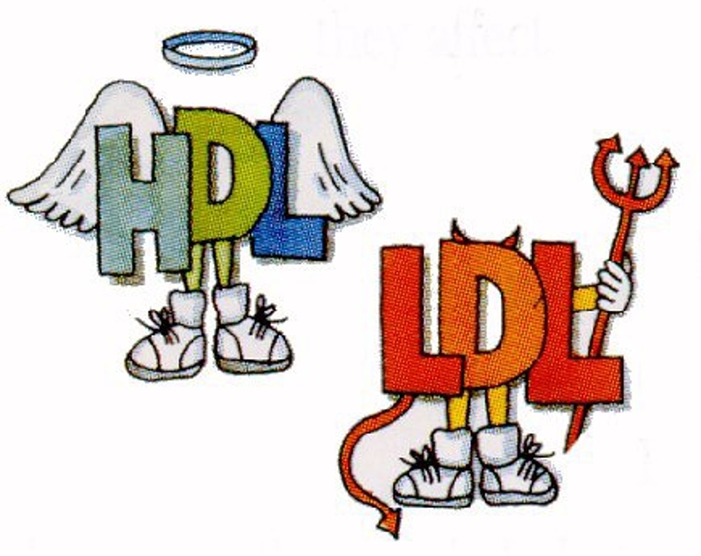 <p>cholesterol</p>