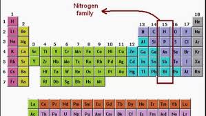 <p>Nitrogen family </p>