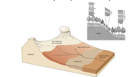 <p>what are <strong>losses (depletion) in soil?</strong></p>