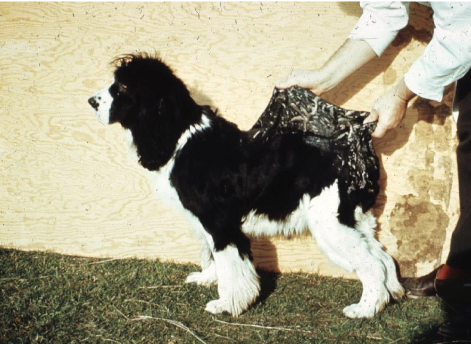 <p>What is this image showing?</p>