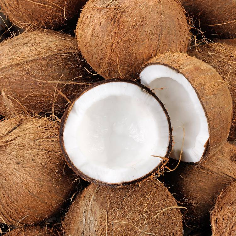 <p>Noix de coco</p>