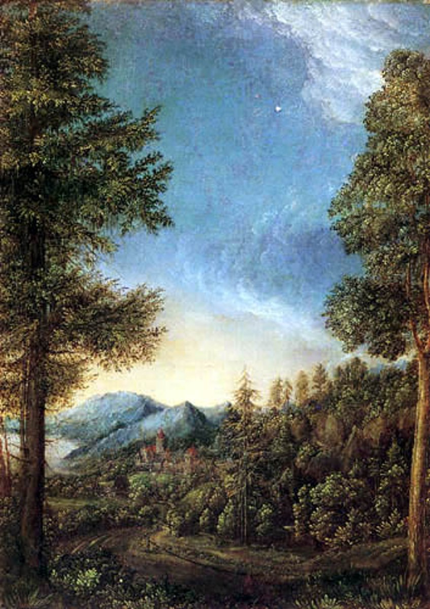 <p>Altdorfer, 1526-1528 AD</p><p>1st landscape, turning point for art!!!</p>