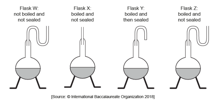 <p>In a copy of Louis Pasteur’s famous experiment, broth was put into flasks as shown in the diagrams.</p><p>What results would be expected with no spontaneous generation of life?</p>