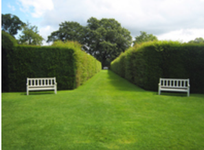 <p><span><strong>a </strong></span>line<span><strong> of </strong></span>bushes<span><strong> or </strong></span>small<span><strong> </strong></span>trees<span><strong> </strong></span>planted<span><strong> very </strong></span>close<span><strong> together, </strong></span>especially<span><strong> along the </strong></span>edge<span><strong> of a </strong></span>garden<span><strong>, </strong></span>field<span><strong>, or </strong></span>road<span><strong>:</strong></span></p>