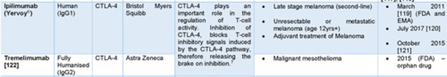 <p>Function: CTLA-4 is an immune checkpoint that suppresses T-cell activation.</p><p>Expression: Found on activated T-cells and regulatory T-cells (Tregs).</p><p>Binding: Competes with CD28 for B7 ligands (CD80/CD86) on antigen-presenting cells</p><p>T-cell Suppression:</p><p>-Outcompetes CD28, preventing co-stimulation</p><p>-Inhibits T-cell signaling cascades</p><p>-Reduces production of factors needed for T-cell activation</p><p>-Boosts activity of regulatory T-cells, further suppressing immune response.</p><p>-Allows cancer cells to avoid detection by dampening T-cell responses</p><p>examples: Ipilimumab or Tremelimumab</p>