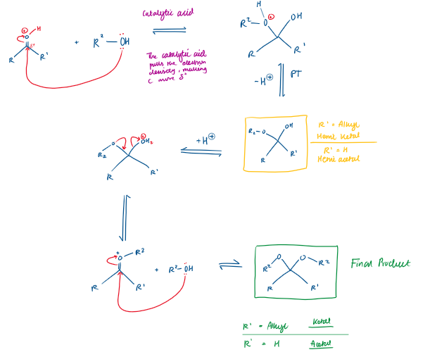 <ul><li><p>The H in R-OH (alcohol) protonates the O in C=O</p></li><li><p>This makes the C=O C more electrophilic, so is very δ+</p></li><li><p>Therefore the lone pair of electrons on the O in R-OH (alcohol) moves via curly arrow to the electrophilic C. </p></li><li><p>Making a bond, leads to bond breaking in C=O</p></li></ul><p></p>