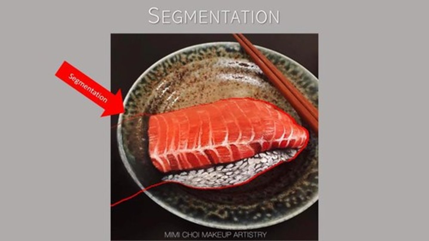 <p>The process of distinguishing different objects within a visual scene.</p>