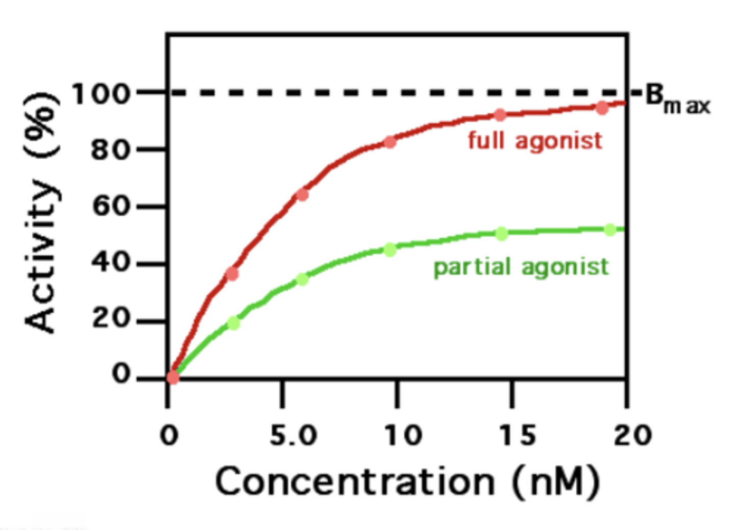 <p>elicit a maximal response</p><p>- can induce a conformational change leading to maximal effect </p>