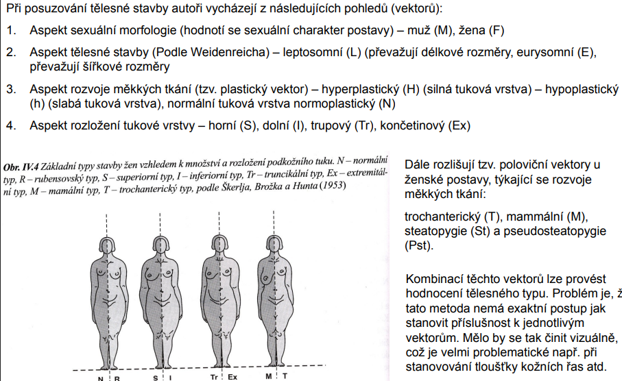 <p>podle těchto autorů se lze na konstituci člověka dívat z různých pohledů Jednak je to šířka těla vzhledem k výšce, dále se jedná o aspekt hyperplasie, hypoplasie a normoplasie. Posledním aspektem je měření síly podkožního tuku nebo denzitometrie.</p>