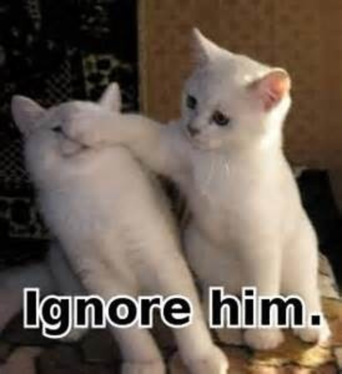 <p>ignore</p>