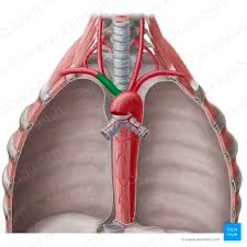 <p><span>Name this structure</span></p>