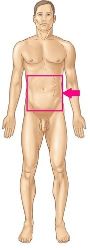 Identify the body region