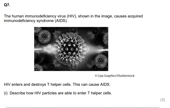 <p>Explain why the destruction of T helper cells causes the symptoms of AIDS. (4)</p>