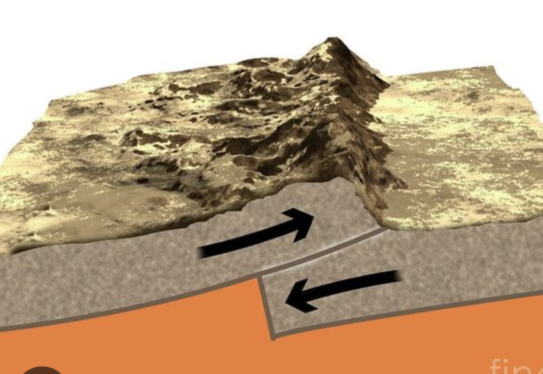 <p>A type of tectonic boundary where two plates move toward each other, often resulting in subduction, mountain building, and volcanic activity. </p>