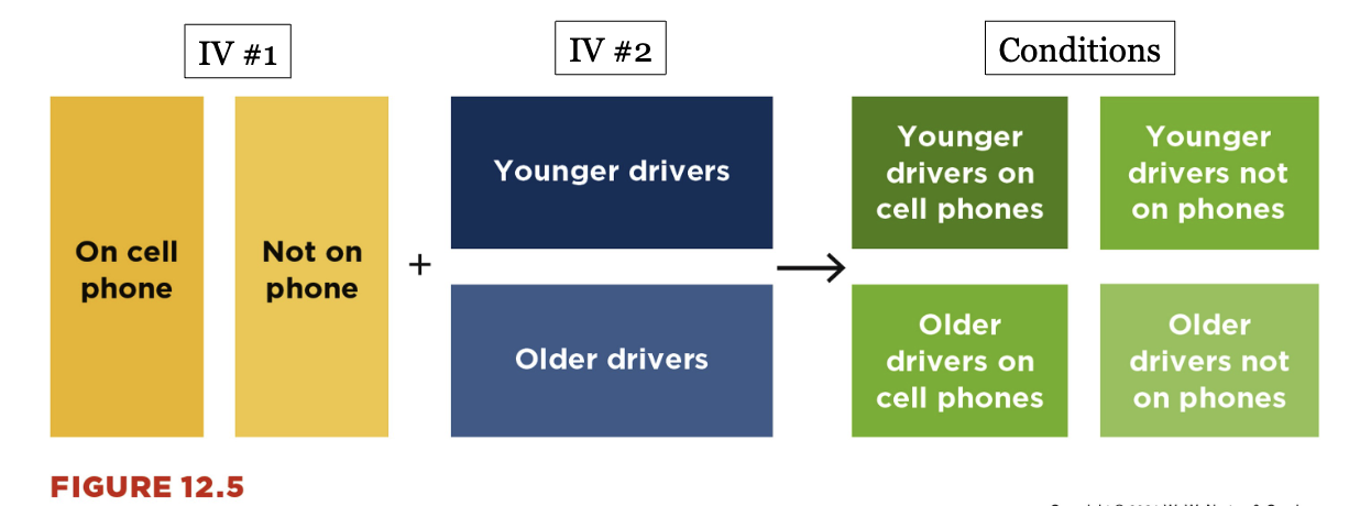 <ul><li><p>researchers cross the two independent variables; they study each possible combination of the independent variable</p></li><li><p>this is called a 2×2 factorial design; 2 levels of one independent variable are crossed with two levels of another independent variable</p><ul><li><p>first IV has 2 levels (cell phone vs no cell phone)</p></li><li><p>second IV has 2 levels (older vs younger)  </p></li></ul></li><li><p>the combination of levels of the independent variables define all of the possible conditions of the study</p></li></ul><p></p>