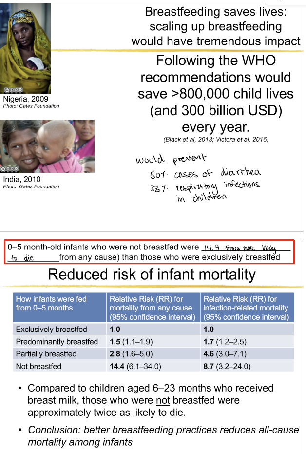 <p>42% of infants are exclusively breastfed for the firsts 6 months worldwide. </p><ul><li><p>reduced risk of infant mortality, diarrhea and pneumonia are more severe in non breastfed infants</p></li></ul><p></p>