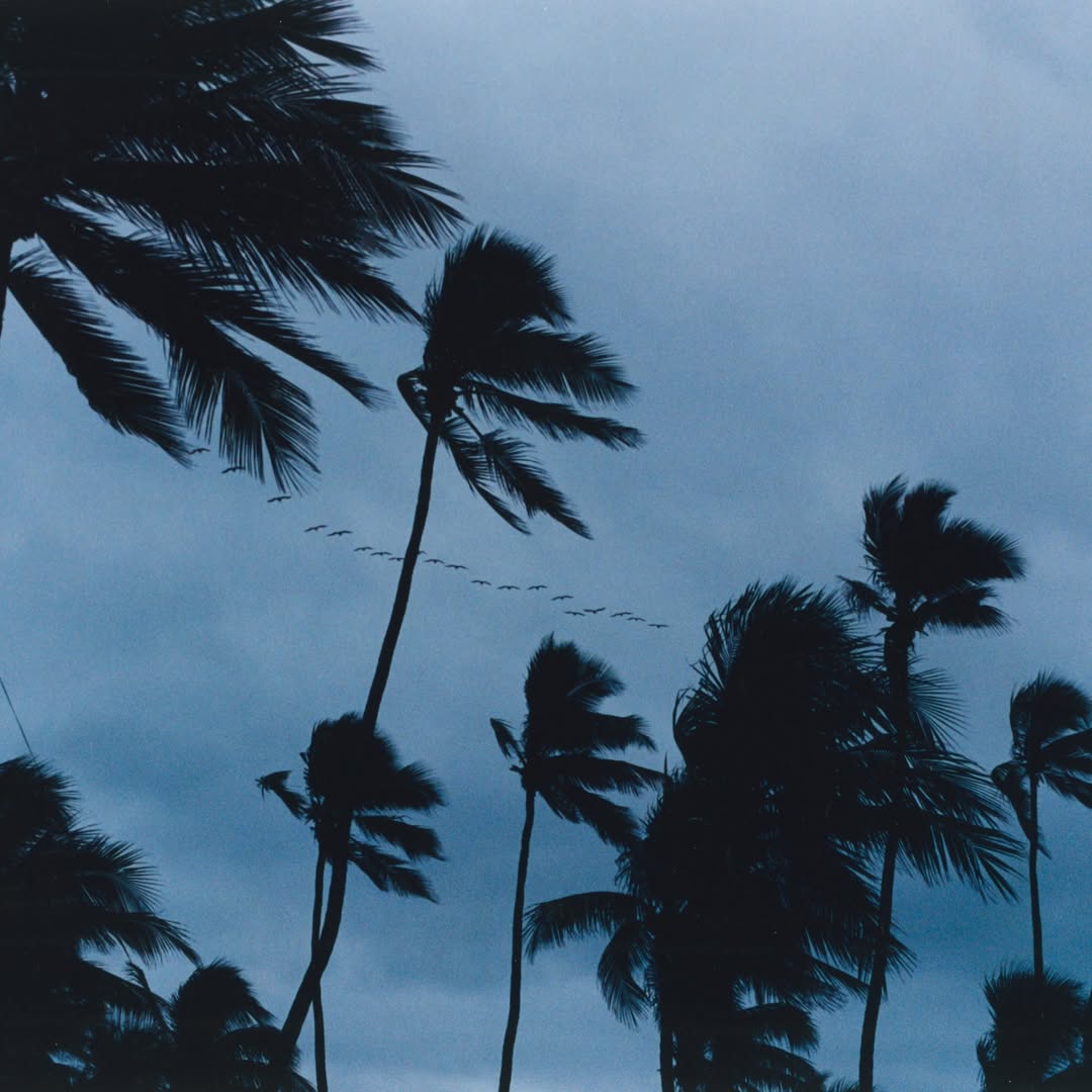 <p><strong>Describe what kind of research evidence you would ideally like to have to verify that noise rather than aging is having on one of these auditory effects on the elderly Cornell alumnus. Explain the logic of your idea.</strong></p>