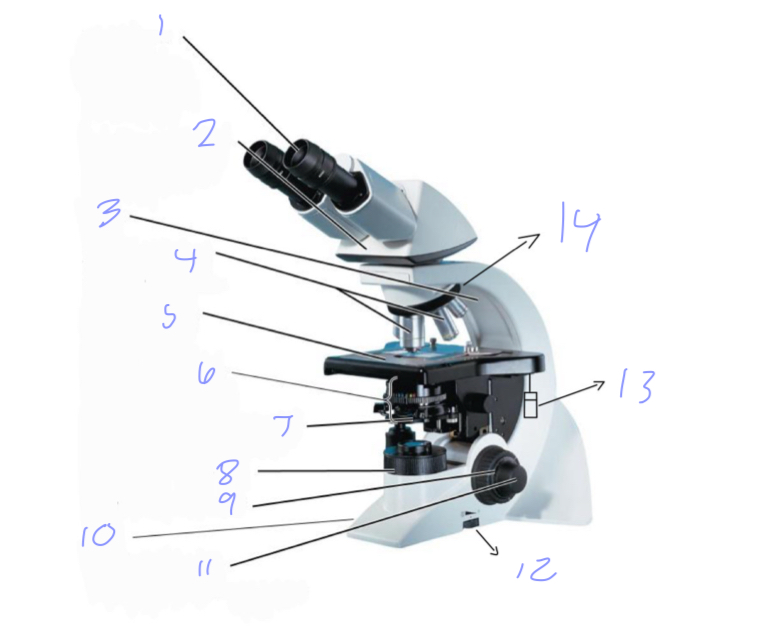 <p>Name the microscope </p><p></p>