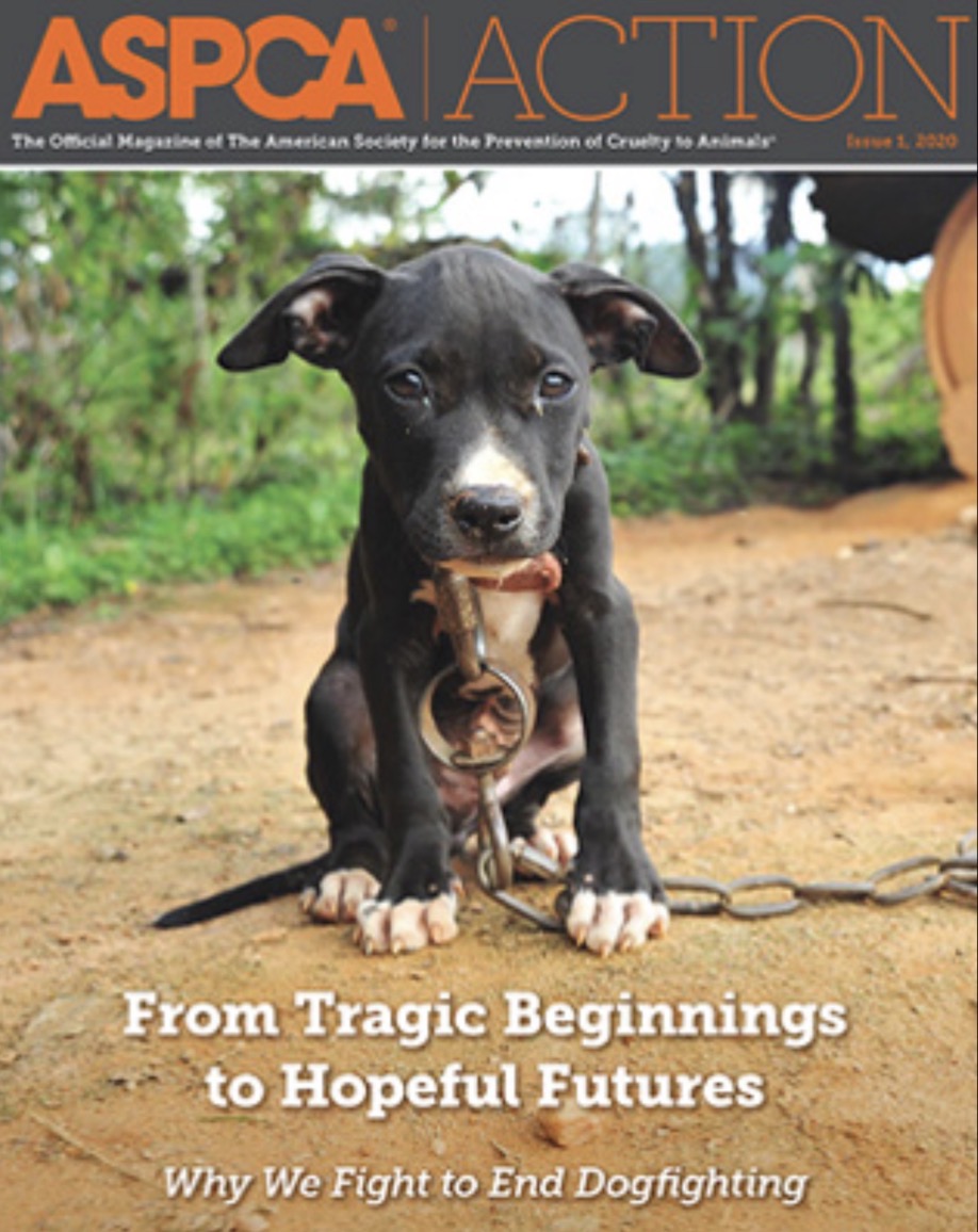 <p>What example is this?</p>