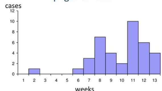 <p>What graph is this and what spread is this?</p>