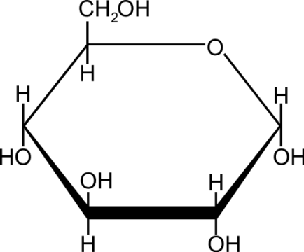 <p>Organic molecules that provide energy, consisting of simple sugars and polysaccharides.</p>