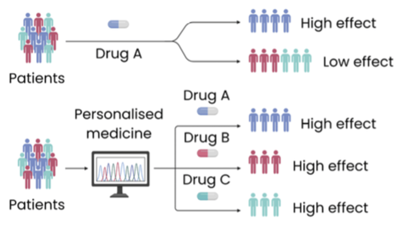 <p>● Medicine tailored to an individual's genotype / DNA</p><p>● Increasing effectiveness of treatment eg. by identifying the particular mutation / allele causing cancer and treating it with tailored drugs</p>