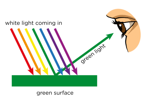 <p>light energy is trapped</p>