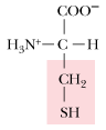 <p>What is the 1 letter abbreviation for Cysteine</p>