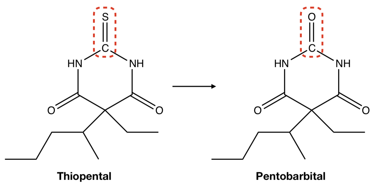 <p><strong>THIOPENTAL</strong> TO <strong>PENTOBARBITAL</strong></p>