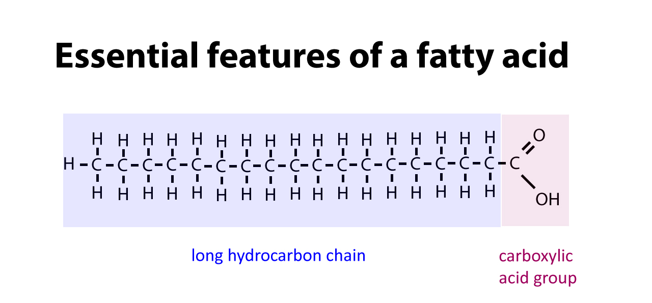 A carboxyl group and a hydrogen chain