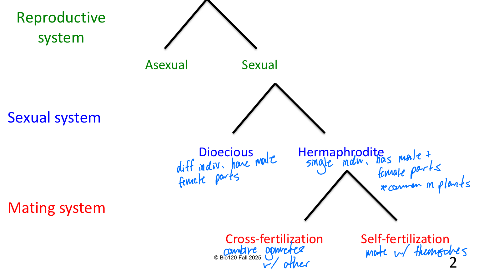 <p>Asexual, Sexual</p><p>Sexual —&gt; Dioecious, Hermaphrodite</p><p>Hermaphrodite —&gt; Cross-fertilization, Self-fertilization&nbsp;</p>