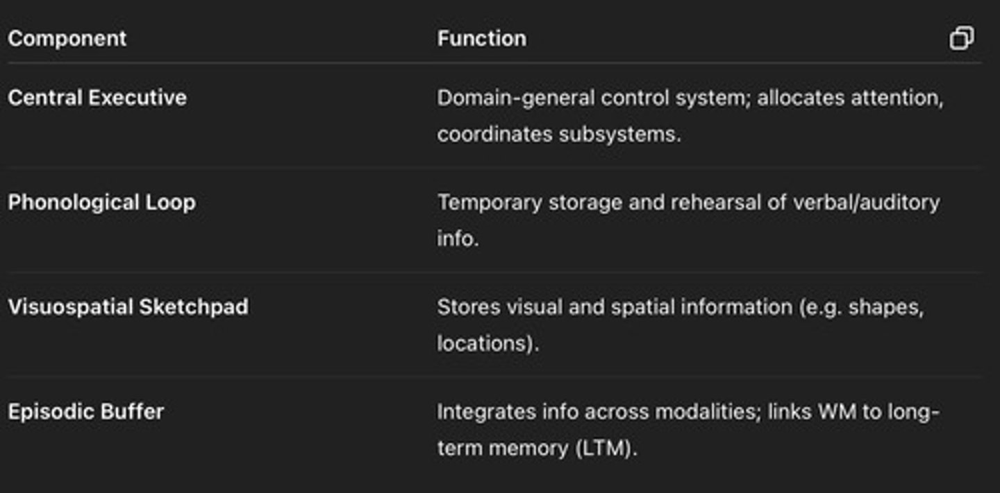 <p>It proposes that working memory consists of multiple, functionally distinct components, including domain-specific subsystems (phonological and visuospatial) that operate independently.</p>