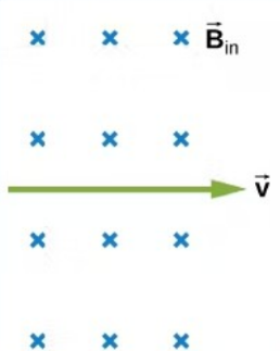 <p>In what direction is the magnetic force on the moving positively charged particle?</p><p>Toward the Top of the Screen</p><p>Toward the Bottom of the Screen</p><p>To the Left</p><p>To the Right</p><p>Into the Screen</p><p>Out of the Screen</p>